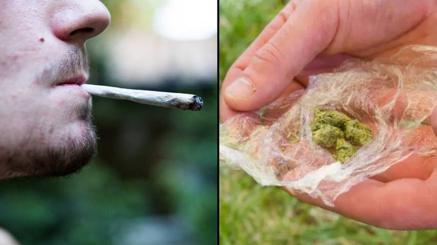  Only 35% of brits support legalisation of cannabis