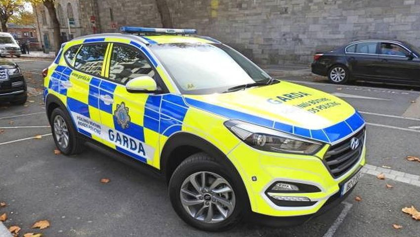  Cannabis plants discovered in house following alleged carjacking in County Wexford