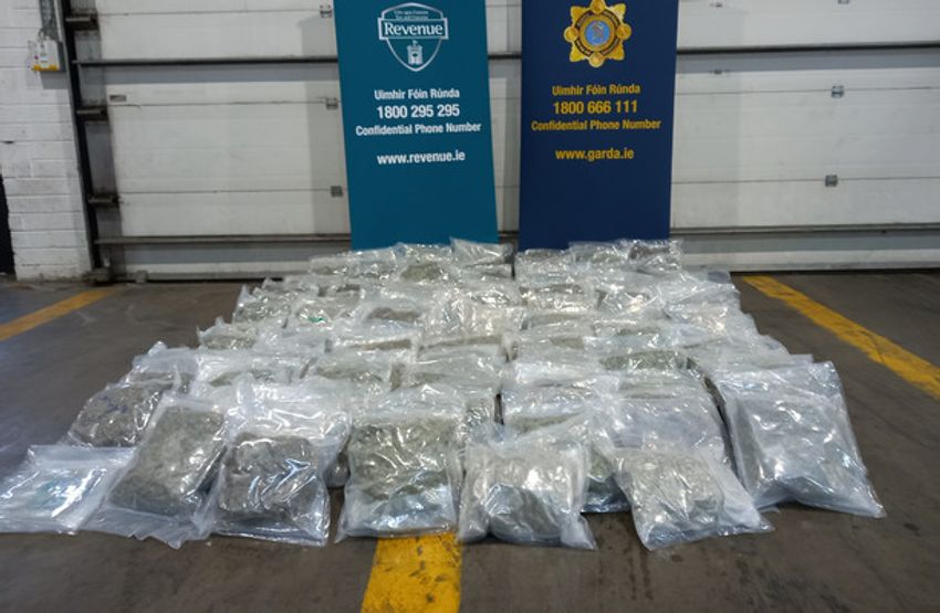  Two arrested as Gardaí seize over €1.3m worth of cannabis