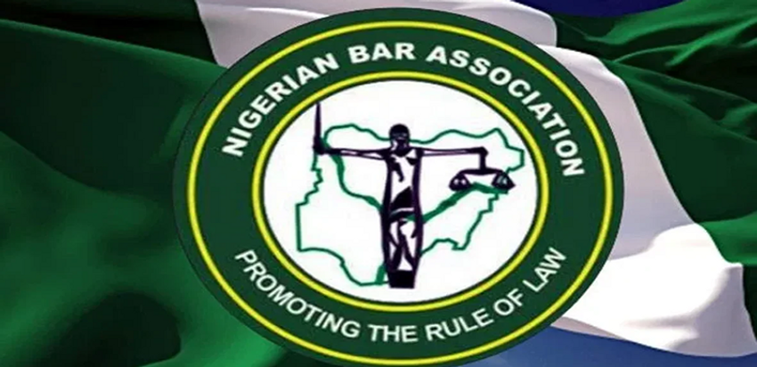  NBA denies suspending female lawyer over nudity