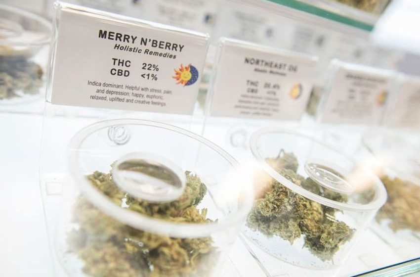  Maryland’s New Recreational Cannabis Market: 9 Things to Know