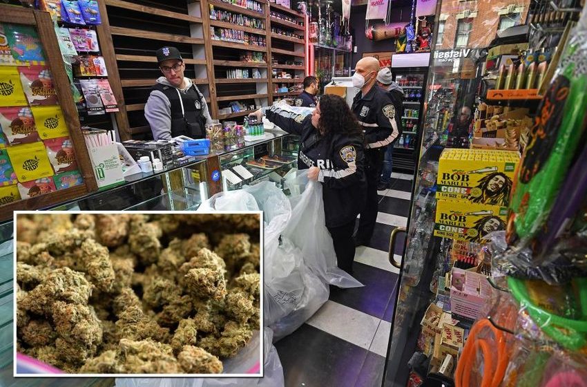  NYC pols rip Albany over unlicensed weed stores: ‘Get it together’