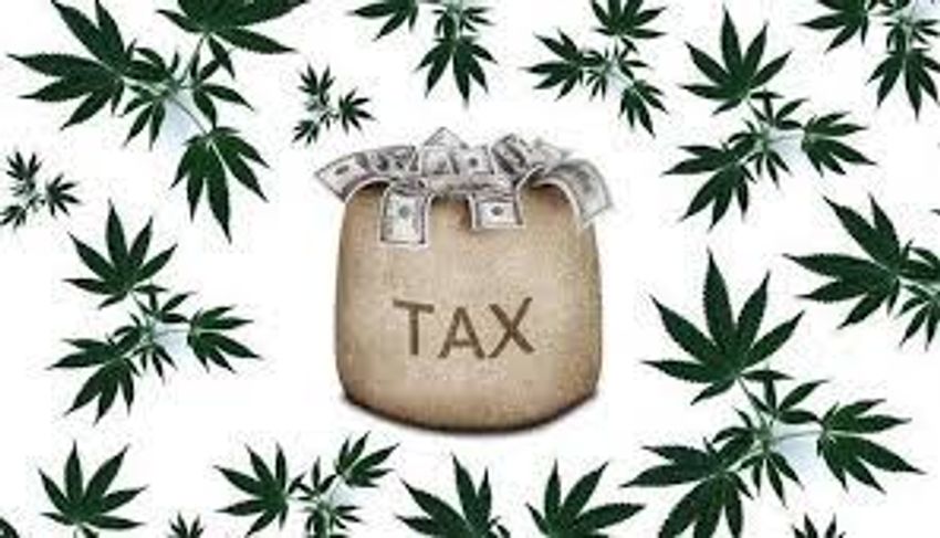  More on Cannabis Taxation