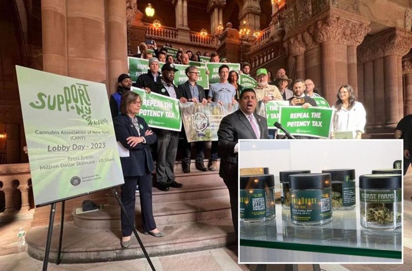  NY Senate celebrates 4/20 with panel to hash out legal weed issues