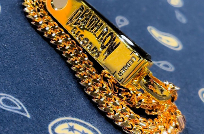  Snoop Dogg Wears Custom Gold Ledger Wallet Chain At WrestleMania 39