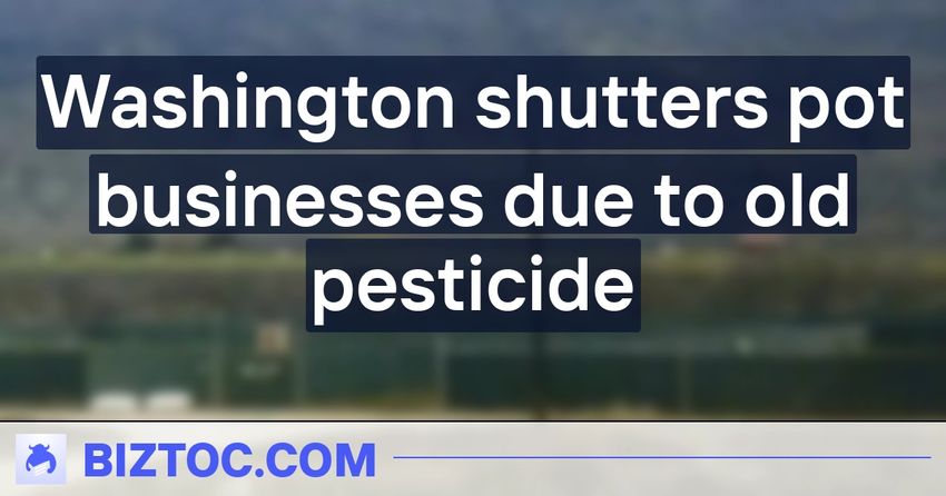  Washington shutters pot businesses due to old pesticide