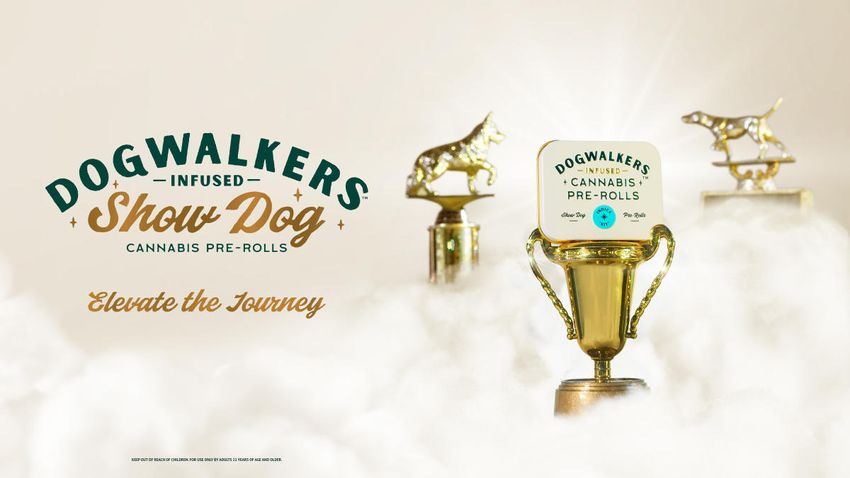  Elevate the Journey with Dogwalkers’ New Show Dog Infused Cannabis Pre-Rolls