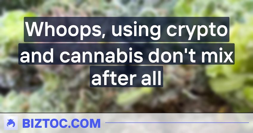  Whoops, using crypto and cannabis don’t mix after all