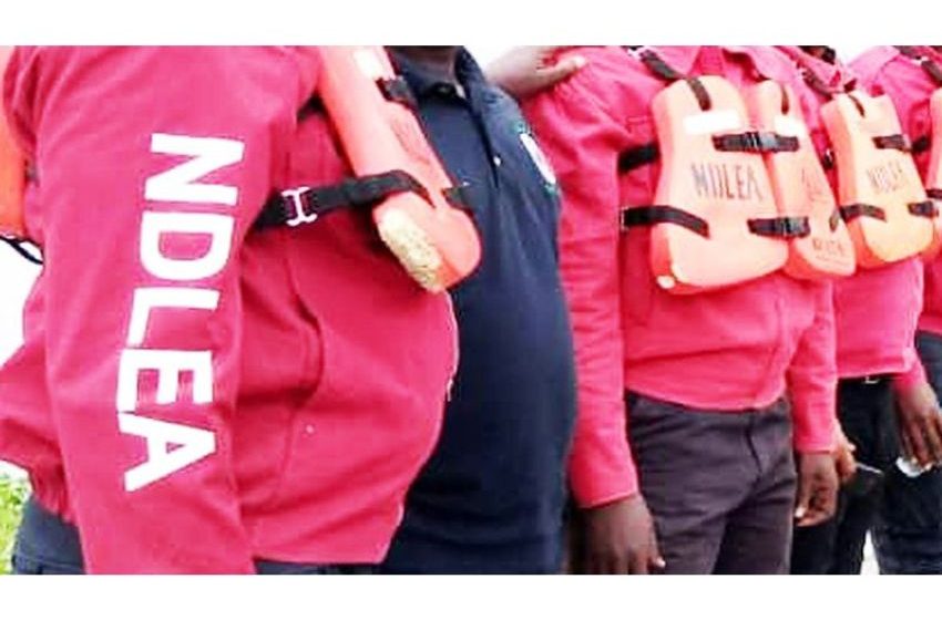  NDLEA intercepts drug consignments in winter jackets, body lotion at Lagos airport