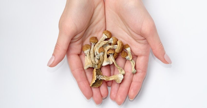  Oregon’s magic mushroom move is ever closer to being open for business