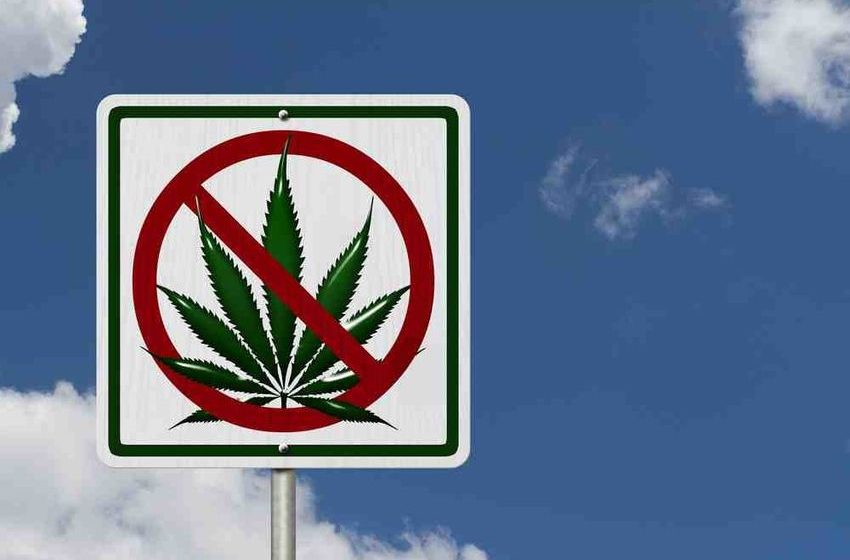  How are state marijuana laws impacting trucking? Driver input needed