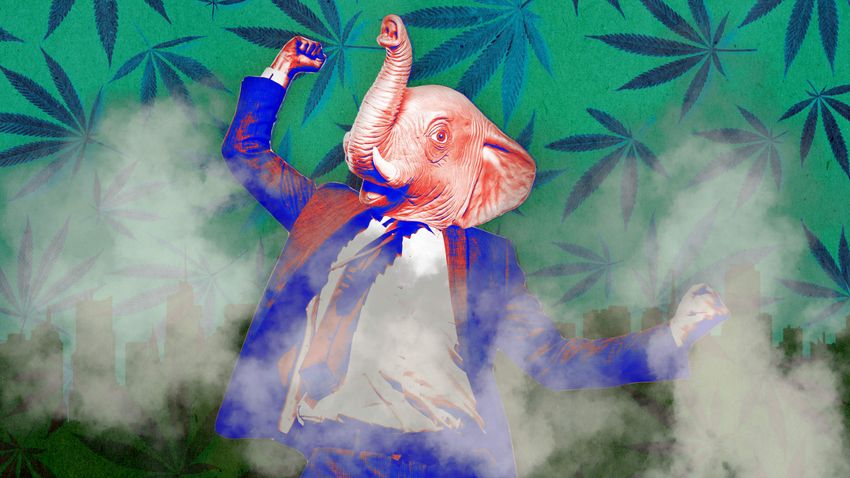  Let’s Be Blunt: Legal Weed is Driving Right-Wingers Mad