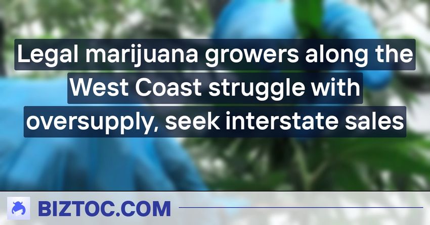  Legal marijuana growers along the West Coast struggle with oversupply, seek interstate sales