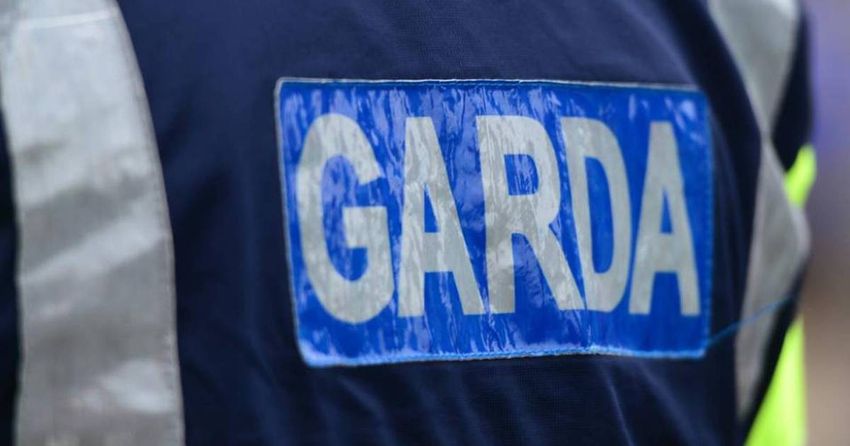  Gardaí seize €100,000 worth of cocaine and cannabis in Limerick house raid