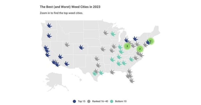  Study Finds Portland Is the Best City for Cannabis in America, Birmingham the Worst