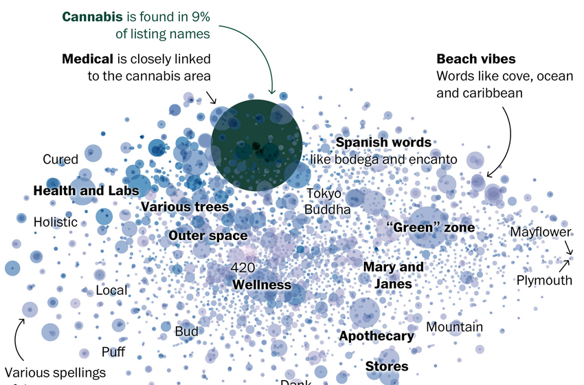  Words used in cannabis business names