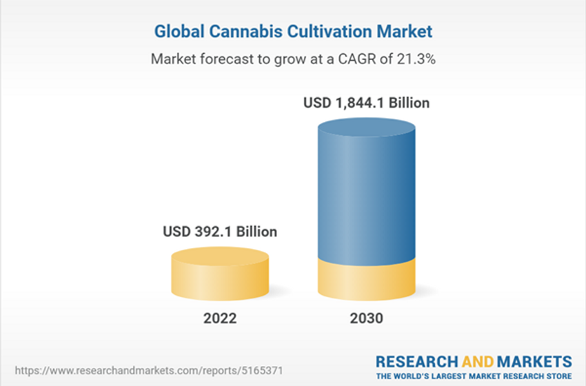  Cannabis (Hemp, Marijuana) Cultivation Market Trends Analysis Report 2023