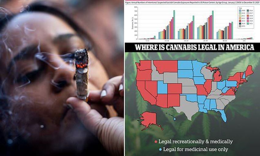  Suicide attempts by injecting marijuanas up 17% in the United States. Since it’s the DailyFail and marijuana has not been responsible for a single responsibly recorded death in human history, I am beginning to doubt the existence of Becky [Stupid]