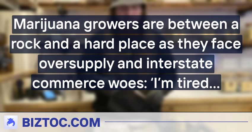  Marijuana growers are between a rock and a hard place as they face oversupply and interstate commerce woes: ‘I’m tired of running a failing business’