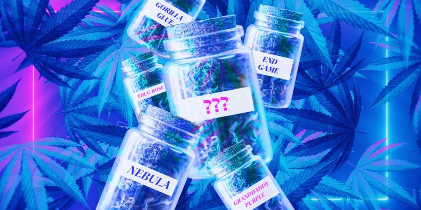  How Weed Strains Get Their (Amusing, Provocative, Downright Wacky) Names