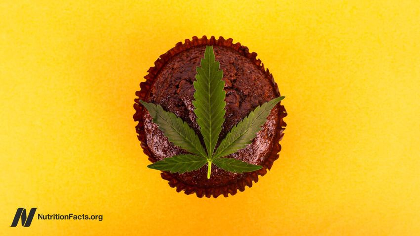  Is It Safe to Consume Cannabis Edibles?