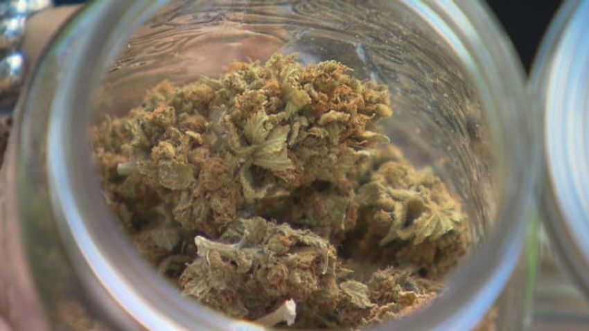  Most medical cannabis users aren’t going the prescription route, raising safety concerns: Manitoba-led study