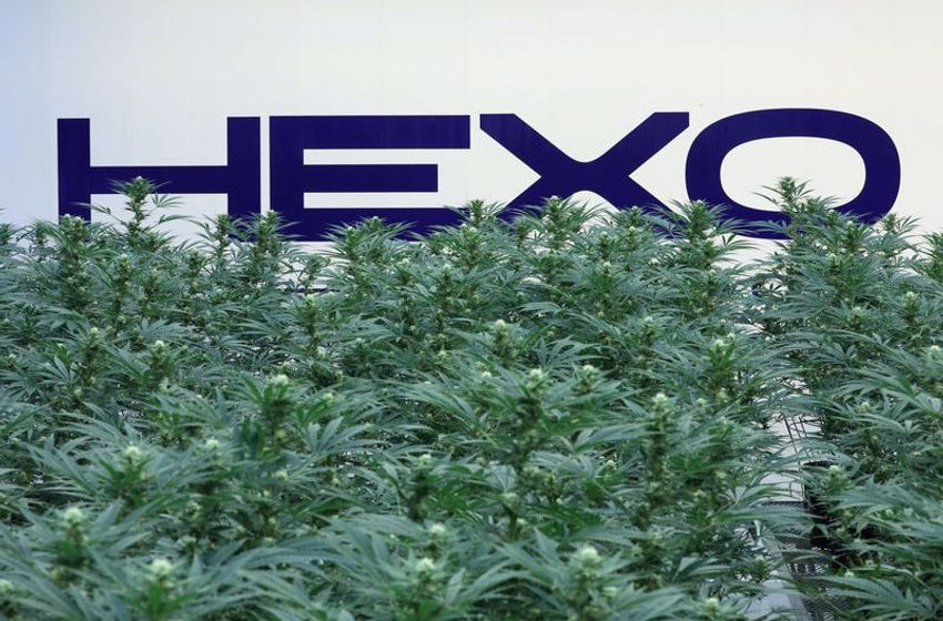 Cannabis producer Tilray to buy Hexo for $56 million