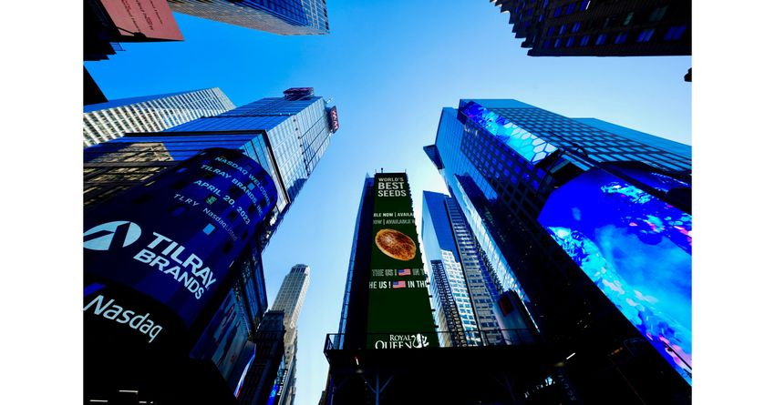  Royal Queen Seeds Takes Over Times Square for 4/20 Celebration