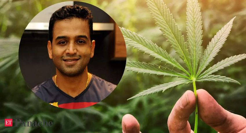  Hemp catches Nithin Kamath’s attention, Zerodha founder wants to invest in startups working on the humble cousin of marijuana