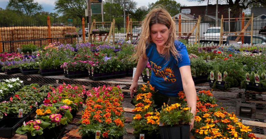  The Garden Shop opens this weekend on the site of the old Bayer’s on Hampton