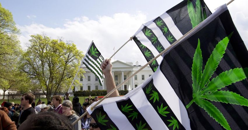  Biden Administration Should End Federal Marijuana Prohibition