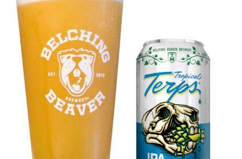  Terpene-Infused IPAs – This Juicy IPA Has a Unique Flavor Elevated By Non-Cannabis Terpenes (TrendHunter.com)