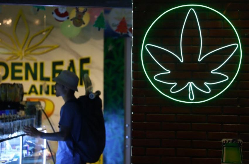  Weed conundrum polarises society ahead of election