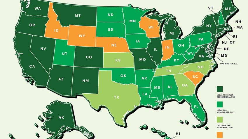  The United States of Weed