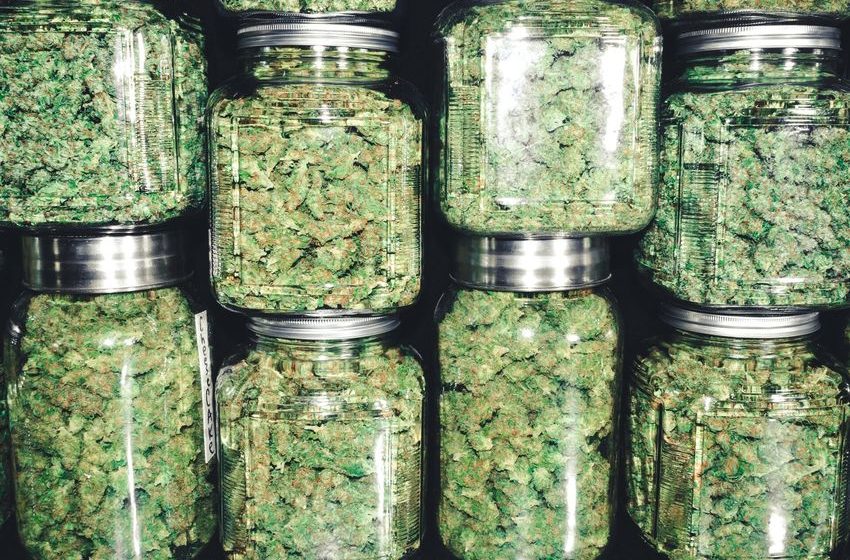  New York just approved 99 more recreational cannabis shop applications