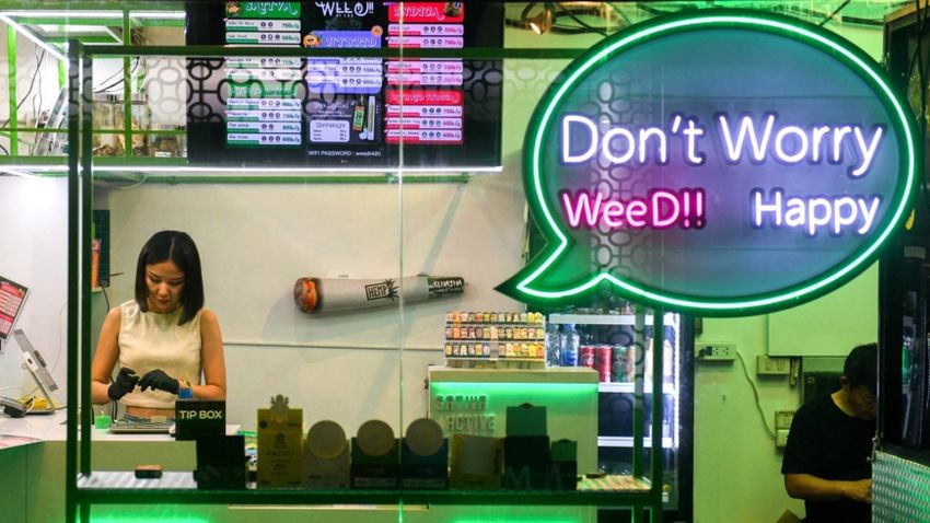  Thailand’s promised cannabis bonanza disappoints as politicians trade blame