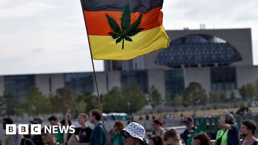  Cannabis clubs plan dilutes German drugs reforms