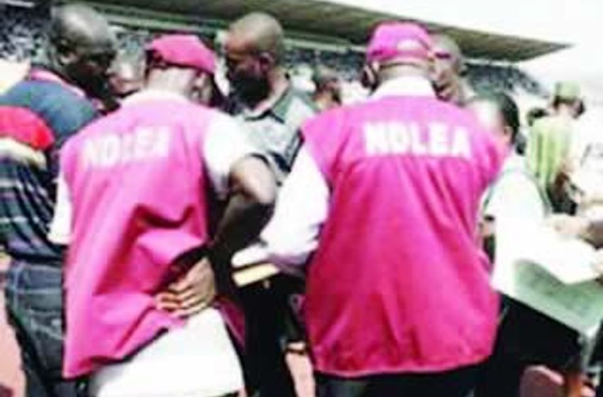  NDLEA seizes 8,852kg cannabis following gun duel in Lagos