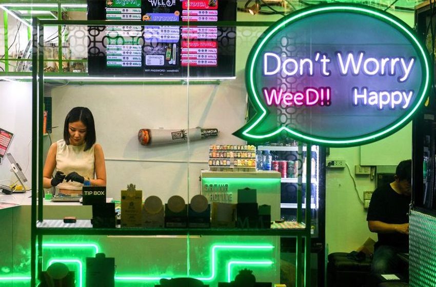  Thai cannabis sector spooked as election winner mulls reversing legalisation