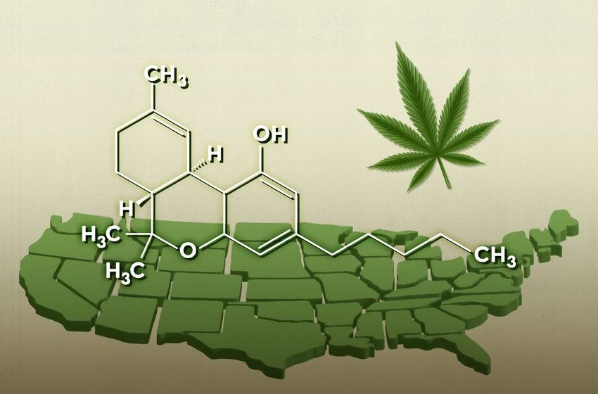  Legal Pot Is More Potent Than Ever — And Still Largely Unregulated