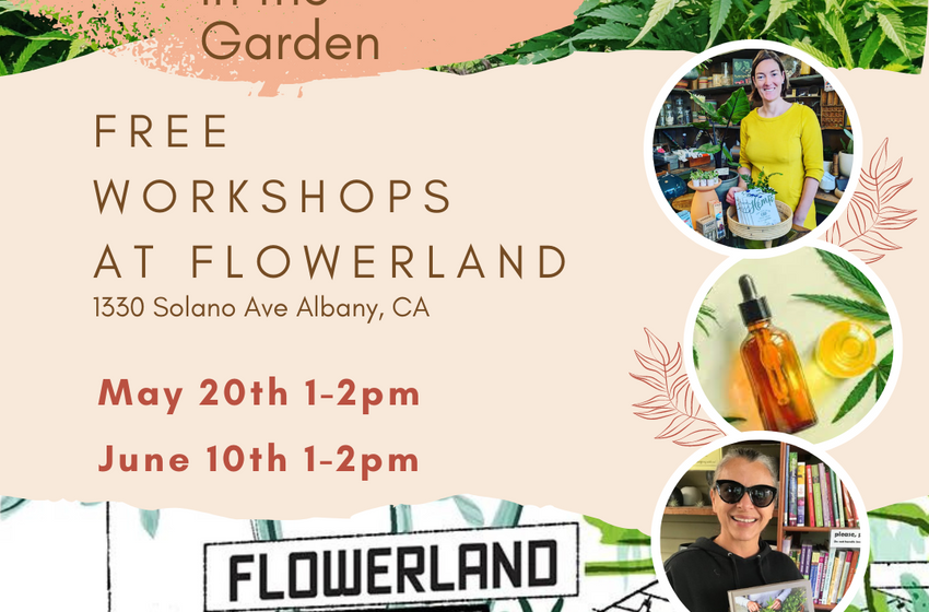  5/20/23: Free “Growing Cannabis in the Garden” Workshop (Albany) – FREE