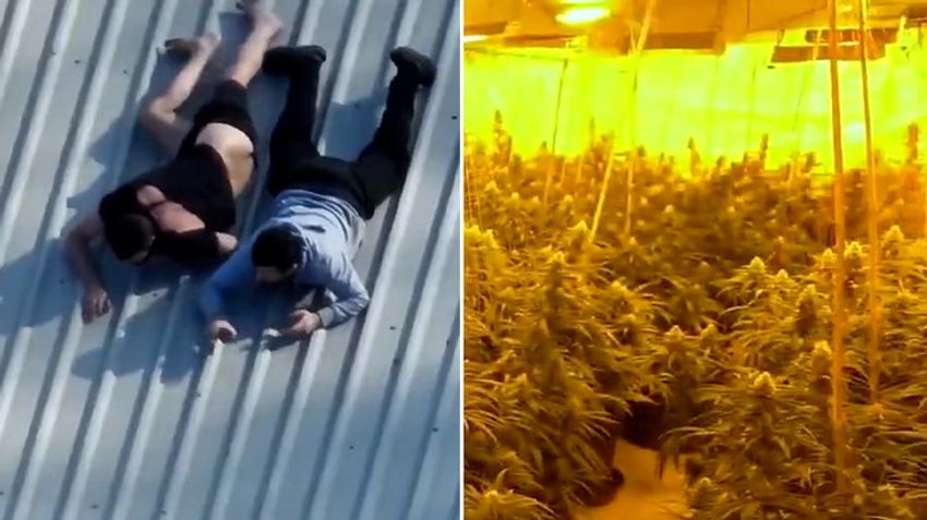  Suspects try to hide phones on roof as police uncover cannabis farm in West Yorkshire