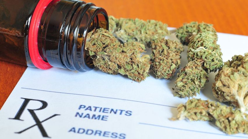  Medicinal cannabis proves safe and effective for cancer pain relief, says study