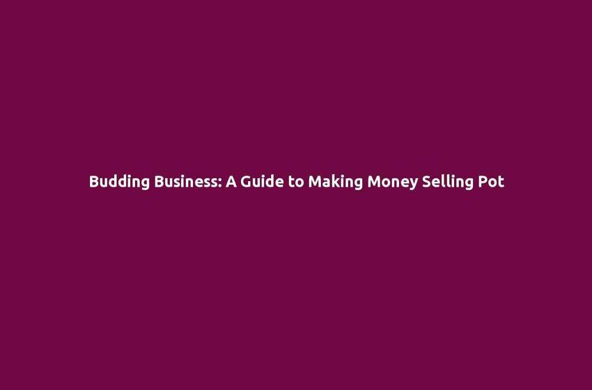  Budding Business: A Guide to Making Money Selling Pot