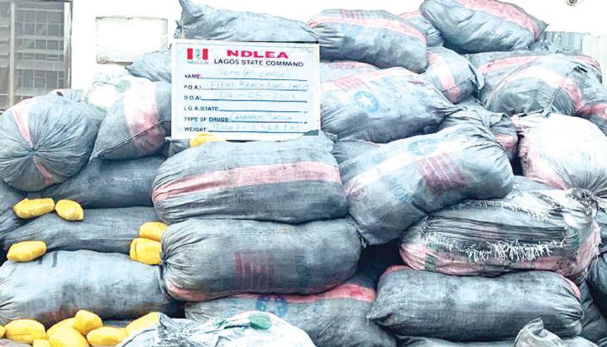  NDLEA intercepts 8,852kg cannabis being escorted by armed men