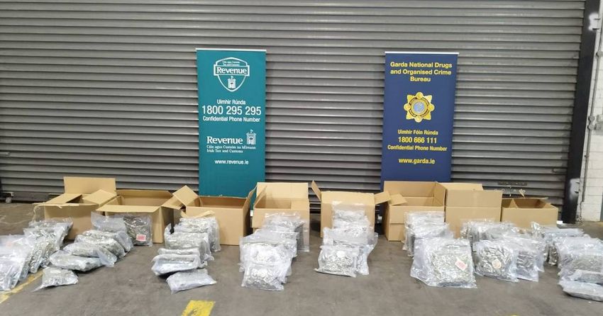  Herbal cannabis valued at more than €1m seized in Dublin