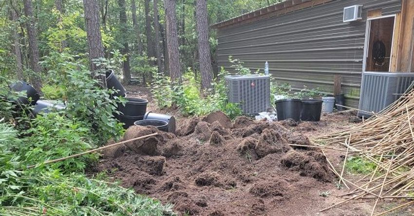  EXCLUSIVE PHOTOS: East Texas Sheriff Raids Pot Grow House near 5x Migrant Murder Scene