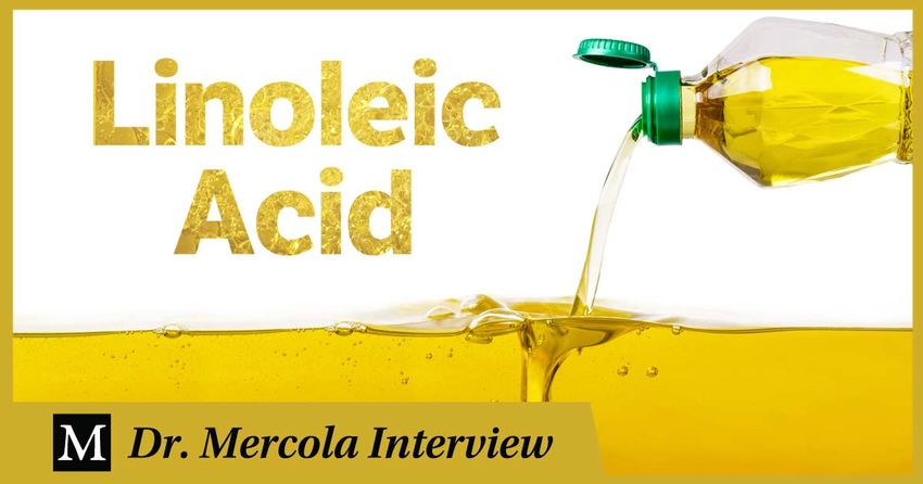  How Linoleic Acid Wrecks Your Health