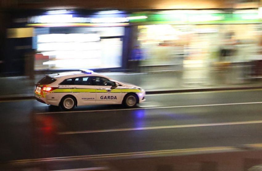  Gardaí seize €660,000 worth of cannabis in Enniscorthy