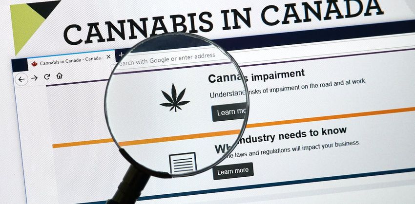  Cannabis can have serious health effects that Canadians may not be aware of, like nonstop vomiting and heart issues